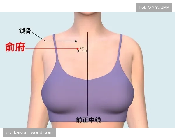 深入解读中线规则：球场前后场分界线的作用