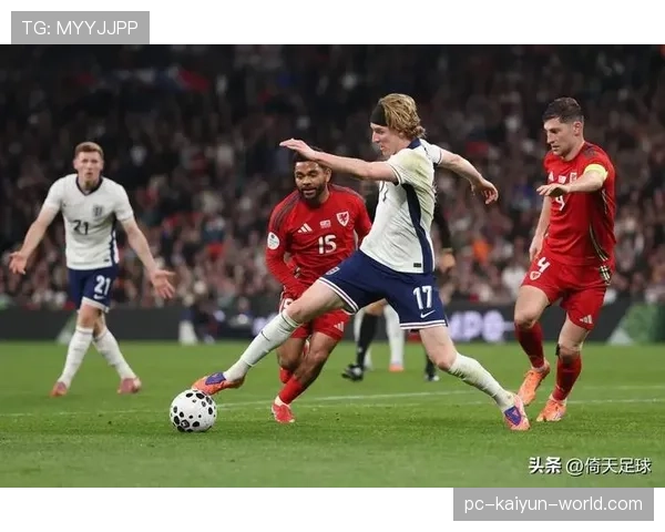 波黑队能否重返世界杯?2026美加墨预选赛出线形势与阵容前景分析 波黑队能否重返世界杯?2026美加墨预选赛出线形势与阵容前景分析